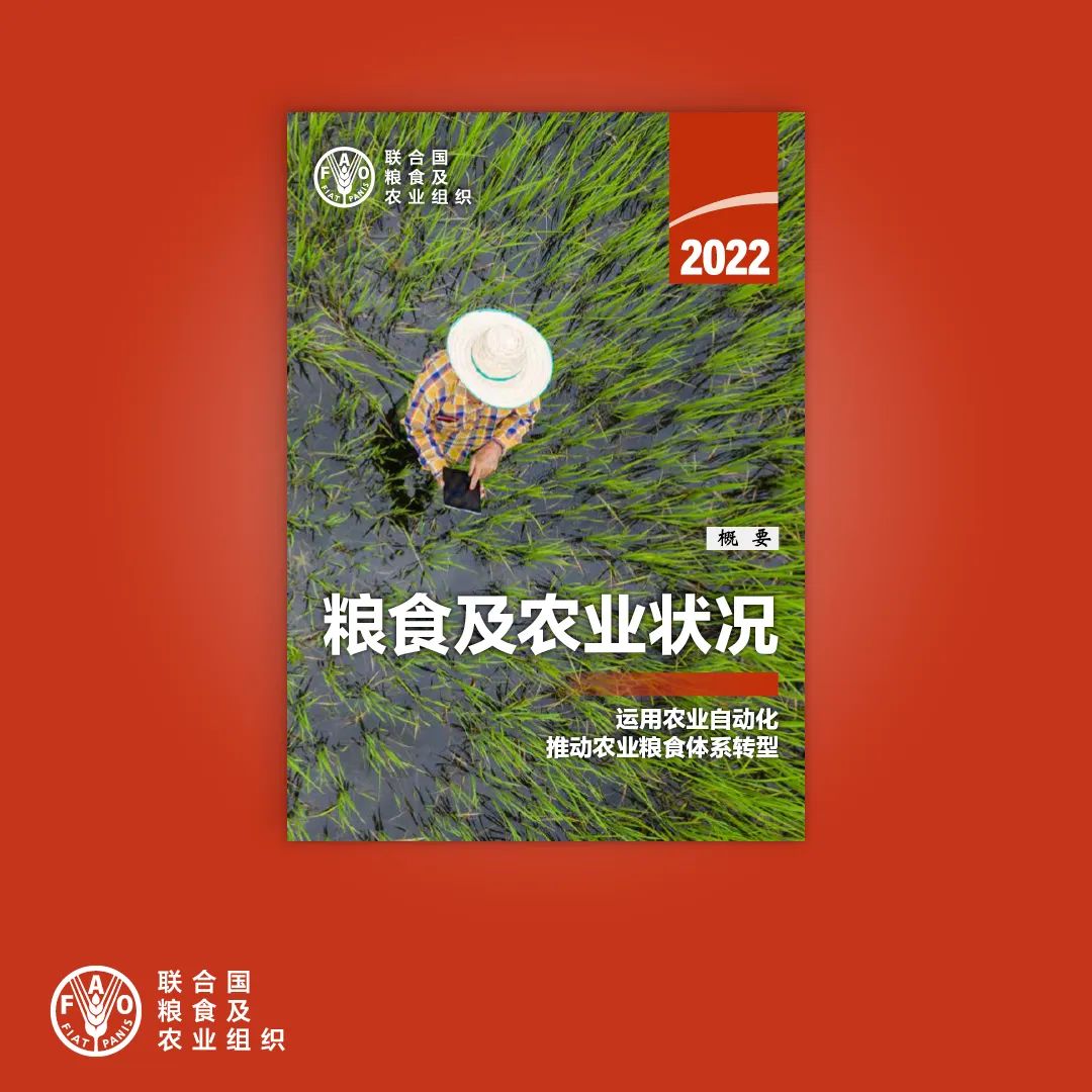 K8凯发集团|蜜芽tv.2722跳在线观看网站|联合国粮农组